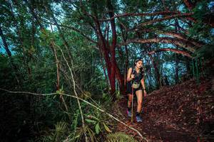 BIB: 
                            <button type="button" onclick="openModal(24789033)" class="btn btn-primary btn-sm float-right btn-popup" data-toggle="modal" data-target=".modal-high-quality">
                        <i class="fas fa-shopping-cart"></i> Add to Cart
                    </button>
                                            <button type="button" onclick="isThisMe(24789033, true)" class="btn btn-success btn-sm float-right btn-popup btn-isme hidden" data-toggle="tooltip" data-placement="bottom" title="นี่คือรูปของคุณใช่ไหม คลิกที่นี่เพื่อเอาเข้าอัลบั้ม">
                        <i class="fas fa-plus"></i> Add to album
                    </button>
                    <button type="button" onclick="isThisMe(24789033, false)" class="btn btn-warning btn-sm float-right btn-popup btn-isnotme hidden">
                        <i class="fas fa-ban"></i> Remove from album
                    </button>