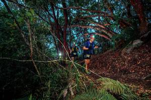 BIB: 
                            <button type="button" onclick="openModal(24786599)" class="btn btn-primary btn-sm float-right btn-popup" data-toggle="modal" data-target=".modal-high-quality">
                        <i class="fas fa-shopping-cart"></i> Add to Cart
                    </button>
                                            <button type="button" onclick="isThisMe(24786599, true)" class="btn btn-success btn-sm float-right btn-popup btn-isme hidden" data-toggle="tooltip" data-placement="bottom" title="นี่คือรูปของคุณใช่ไหม คลิกที่นี่เพื่อเอาเข้าอัลบั้ม">
                        <i class="fas fa-plus"></i> Add to album
                    </button>
                    <button type="button" onclick="isThisMe(24786599, false)" class="btn btn-warning btn-sm float-right btn-popup btn-isnotme hidden">
                        <i class="fas fa-ban"></i> Remove from album
                    </button>