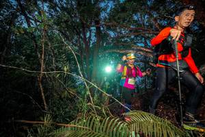 BIB: 
                            <button type="button" onclick="openModal(24782513)" class="btn btn-primary btn-sm float-right btn-popup" data-toggle="modal" data-target=".modal-high-quality">
                        <i class="fas fa-shopping-cart"></i> Add to Cart
                    </button>
                                            <button type="button" onclick="isThisMe(24782513, true)" class="btn btn-success btn-sm float-right btn-popup btn-isme hidden" data-toggle="tooltip" data-placement="bottom" title="นี่คือรูปของคุณใช่ไหม คลิกที่นี่เพื่อเอาเข้าอัลบั้ม">
                        <i class="fas fa-plus"></i> Add to album
                    </button>
                    <button type="button" onclick="isThisMe(24782513, false)" class="btn btn-warning btn-sm float-right btn-popup btn-isnotme hidden">
                        <i class="fas fa-ban"></i> Remove from album
                    </button>