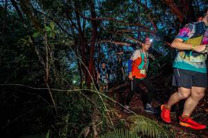 BIB: 
                            <button type="button" onclick="openModal(24782675)" class="btn btn-primary btn-sm float-right btn-popup" data-toggle="modal" data-target=".modal-high-quality">
                        <i class="fas fa-shopping-cart"></i> Add to Cart
                    </button>
                                            <button type="button" onclick="isThisMe(24782675, true)" class="btn btn-success btn-sm float-right btn-popup btn-isme hidden" data-toggle="tooltip" data-placement="bottom" title="นี่คือรูปของคุณใช่ไหม คลิกที่นี่เพื่อเอาเข้าอัลบั้ม">
                        <i class="fas fa-plus"></i> Add to album
                    </button>
                    <button type="button" onclick="isThisMe(24782675, false)" class="btn btn-warning btn-sm float-right btn-popup btn-isnotme hidden">
                        <i class="fas fa-ban"></i> Remove from album
                    </button>