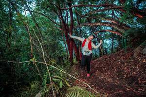 BIB: 
                            <button type="button" onclick="openModal(24781010)" class="btn btn-primary btn-sm float-right btn-popup" data-toggle="modal" data-target=".modal-high-quality">
                        <i class="fas fa-shopping-cart"></i> Add to Cart
                    </button>
                                            <button type="button" onclick="isThisMe(24781010, true)" class="btn btn-success btn-sm float-right btn-popup btn-isme hidden" data-toggle="tooltip" data-placement="bottom" title="นี่คือรูปของคุณใช่ไหม คลิกที่นี่เพื่อเอาเข้าอัลบั้ม">
                        <i class="fas fa-plus"></i> Add to album
                    </button>
                    <button type="button" onclick="isThisMe(24781010, false)" class="btn btn-warning btn-sm float-right btn-popup btn-isnotme hidden">
                        <i class="fas fa-ban"></i> Remove from album
                    </button>