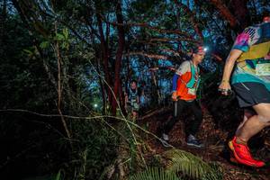 BIB: 
                            <button type="button" onclick="openModal(24782691)" class="btn btn-primary btn-sm float-right btn-popup" data-toggle="modal" data-target=".modal-high-quality">
                        <i class="fas fa-shopping-cart"></i> Add to Cart
                    </button>
                                            <button type="button" onclick="isThisMe(24782691, true)" class="btn btn-success btn-sm float-right btn-popup btn-isme hidden" data-toggle="tooltip" data-placement="bottom" title="นี่คือรูปของคุณใช่ไหม คลิกที่นี่เพื่อเอาเข้าอัลบั้ม">
                        <i class="fas fa-plus"></i> Add to album
                    </button>
                    <button type="button" onclick="isThisMe(24782691, false)" class="btn btn-warning btn-sm float-right btn-popup btn-isnotme hidden">
                        <i class="fas fa-ban"></i> Remove from album
                    </button>