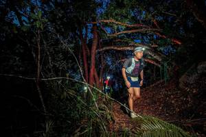 BIB: 
                            <button type="button" onclick="openModal(24788762)" class="btn btn-primary btn-sm float-right btn-popup" data-toggle="modal" data-target=".modal-high-quality">
                        <i class="fas fa-shopping-cart"></i> Add to Cart
                    </button>
                                            <button type="button" onclick="isThisMe(24788762, true)" class="btn btn-success btn-sm float-right btn-popup btn-isme hidden" data-toggle="tooltip" data-placement="bottom" title="นี่คือรูปของคุณใช่ไหม คลิกที่นี่เพื่อเอาเข้าอัลบั้ม">
                        <i class="fas fa-plus"></i> Add to album
                    </button>
                    <button type="button" onclick="isThisMe(24788762, false)" class="btn btn-warning btn-sm float-right btn-popup btn-isnotme hidden">
                        <i class="fas fa-ban"></i> Remove from album
                    </button>