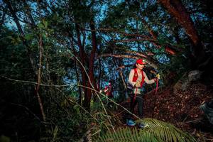 BIB: 
                            <button type="button" onclick="openModal(24783266)" class="btn btn-primary btn-sm float-right btn-popup" data-toggle="modal" data-target=".modal-high-quality">
                        <i class="fas fa-shopping-cart"></i> Add to Cart
                    </button>
                                            <button type="button" onclick="isThisMe(24783266, true)" class="btn btn-success btn-sm float-right btn-popup btn-isme hidden" data-toggle="tooltip" data-placement="bottom" title="นี่คือรูปของคุณใช่ไหม คลิกที่นี่เพื่อเอาเข้าอัลบั้ม">
                        <i class="fas fa-plus"></i> Add to album
                    </button>
                    <button type="button" onclick="isThisMe(24783266, false)" class="btn btn-warning btn-sm float-right btn-popup btn-isnotme hidden">
                        <i class="fas fa-ban"></i> Remove from album
                    </button>