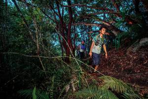 BIB: 
                            <button type="button" onclick="openModal(24787399)" class="btn btn-primary btn-sm float-right btn-popup" data-toggle="modal" data-target=".modal-high-quality">
                        <i class="fas fa-shopping-cart"></i> Add to Cart
                    </button>
                                            <button type="button" onclick="isThisMe(24787399, true)" class="btn btn-success btn-sm float-right btn-popup btn-isme hidden" data-toggle="tooltip" data-placement="bottom" title="นี่คือรูปของคุณใช่ไหม คลิกที่นี่เพื่อเอาเข้าอัลบั้ม">
                        <i class="fas fa-plus"></i> Add to album
                    </button>
                    <button type="button" onclick="isThisMe(24787399, false)" class="btn btn-warning btn-sm float-right btn-popup btn-isnotme hidden">
                        <i class="fas fa-ban"></i> Remove from album
                    </button>