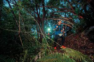 BIB: 
                            <button type="button" onclick="openModal(24785738)" class="btn btn-primary btn-sm float-right btn-popup" data-toggle="modal" data-target=".modal-high-quality">
                        <i class="fas fa-shopping-cart"></i> Add to Cart
                    </button>
                                            <button type="button" onclick="isThisMe(24785738, true)" class="btn btn-success btn-sm float-right btn-popup btn-isme hidden" data-toggle="tooltip" data-placement="bottom" title="นี่คือรูปของคุณใช่ไหม คลิกที่นี่เพื่อเอาเข้าอัลบั้ม">
                        <i class="fas fa-plus"></i> Add to album
                    </button>
                    <button type="button" onclick="isThisMe(24785738, false)" class="btn btn-warning btn-sm float-right btn-popup btn-isnotme hidden">
                        <i class="fas fa-ban"></i> Remove from album
                    </button>