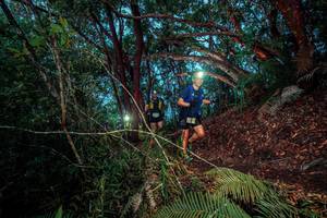 BIB: 
                            <button type="button" onclick="openModal(24786617)" class="btn btn-primary btn-sm float-right btn-popup" data-toggle="modal" data-target=".modal-high-quality">
                        <i class="fas fa-shopping-cart"></i> Add to Cart
                    </button>
                                            <button type="button" onclick="isThisMe(24786617, true)" class="btn btn-success btn-sm float-right btn-popup btn-isme hidden" data-toggle="tooltip" data-placement="bottom" title="นี่คือรูปของคุณใช่ไหม คลิกที่นี่เพื่อเอาเข้าอัลบั้ม">
                        <i class="fas fa-plus"></i> Add to album
                    </button>
                    <button type="button" onclick="isThisMe(24786617, false)" class="btn btn-warning btn-sm float-right btn-popup btn-isnotme hidden">
                        <i class="fas fa-ban"></i> Remove from album
                    </button>