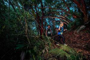 BIB: 
                            <button type="button" onclick="openModal(24785906)" class="btn btn-primary btn-sm float-right btn-popup" data-toggle="modal" data-target=".modal-high-quality">
                        <i class="fas fa-shopping-cart"></i> Add to Cart
                    </button>
                                            <button type="button" onclick="isThisMe(24785906, true)" class="btn btn-success btn-sm float-right btn-popup btn-isme hidden" data-toggle="tooltip" data-placement="bottom" title="นี่คือรูปของคุณใช่ไหม คลิกที่นี่เพื่อเอาเข้าอัลบั้ม">
                        <i class="fas fa-plus"></i> Add to album
                    </button>
                    <button type="button" onclick="isThisMe(24785906, false)" class="btn btn-warning btn-sm float-right btn-popup btn-isnotme hidden">
                        <i class="fas fa-ban"></i> Remove from album
                    </button>