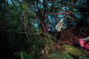 BIB: 
                            <button type="button" onclick="openModal(24787186)" class="btn btn-primary btn-sm float-right btn-popup" data-toggle="modal" data-target=".modal-high-quality">
                        <i class="fas fa-shopping-cart"></i> Add to Cart
                    </button>
                                            <button type="button" onclick="isThisMe(24787186, true)" class="btn btn-success btn-sm float-right btn-popup btn-isme hidden" data-toggle="tooltip" data-placement="bottom" title="นี่คือรูปของคุณใช่ไหม คลิกที่นี่เพื่อเอาเข้าอัลบั้ม">
                        <i class="fas fa-plus"></i> Add to album
                    </button>
                    <button type="button" onclick="isThisMe(24787186, false)" class="btn btn-warning btn-sm float-right btn-popup btn-isnotme hidden">
                        <i class="fas fa-ban"></i> Remove from album
                    </button>