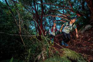 BIB: 
                            <button type="button" onclick="openModal(24786764)" class="btn btn-primary btn-sm float-right btn-popup" data-toggle="modal" data-target=".modal-high-quality">
                        <i class="fas fa-shopping-cart"></i> Add to Cart
                    </button>
                                            <button type="button" onclick="isThisMe(24786764, true)" class="btn btn-success btn-sm float-right btn-popup btn-isme hidden" data-toggle="tooltip" data-placement="bottom" title="นี่คือรูปของคุณใช่ไหม คลิกที่นี่เพื่อเอาเข้าอัลบั้ม">
                        <i class="fas fa-plus"></i> Add to album
                    </button>
                    <button type="button" onclick="isThisMe(24786764, false)" class="btn btn-warning btn-sm float-right btn-popup btn-isnotme hidden">
                        <i class="fas fa-ban"></i> Remove from album
                    </button>