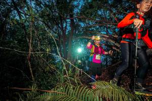 BIB: 
                            <button type="button" onclick="openModal(24782514)" class="btn btn-primary btn-sm float-right btn-popup" data-toggle="modal" data-target=".modal-high-quality">
                        <i class="fas fa-shopping-cart"></i> Add to Cart
                    </button>
                                            <button type="button" onclick="isThisMe(24782514, true)" class="btn btn-success btn-sm float-right btn-popup btn-isme hidden" data-toggle="tooltip" data-placement="bottom" title="นี่คือรูปของคุณใช่ไหม คลิกที่นี่เพื่อเอาเข้าอัลบั้ม">
                        <i class="fas fa-plus"></i> Add to album
                    </button>
                    <button type="button" onclick="isThisMe(24782514, false)" class="btn btn-warning btn-sm float-right btn-popup btn-isnotme hidden">
                        <i class="fas fa-ban"></i> Remove from album
                    </button>