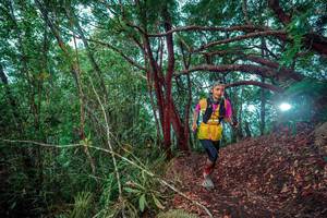 BIB: 
                            <button type="button" onclick="openModal(24781883)" class="btn btn-primary btn-sm float-right btn-popup" data-toggle="modal" data-target=".modal-high-quality">
                        <i class="fas fa-shopping-cart"></i> Add to Cart
                    </button>
                                            <button type="button" onclick="isThisMe(24781883, true)" class="btn btn-success btn-sm float-right btn-popup btn-isme hidden" data-toggle="tooltip" data-placement="bottom" title="นี่คือรูปของคุณใช่ไหม คลิกที่นี่เพื่อเอาเข้าอัลบั้ม">
                        <i class="fas fa-plus"></i> Add to album
                    </button>
                    <button type="button" onclick="isThisMe(24781883, false)" class="btn btn-warning btn-sm float-right btn-popup btn-isnotme hidden">
                        <i class="fas fa-ban"></i> Remove from album
                    </button>