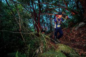 BIB: 
                            <button type="button" onclick="openModal(24787040)" class="btn btn-primary btn-sm float-right btn-popup" data-toggle="modal" data-target=".modal-high-quality">
                        <i class="fas fa-shopping-cart"></i> Add to Cart
                    </button>
                                            <button type="button" onclick="isThisMe(24787040, true)" class="btn btn-success btn-sm float-right btn-popup btn-isme hidden" data-toggle="tooltip" data-placement="bottom" title="นี่คือรูปของคุณใช่ไหม คลิกที่นี่เพื่อเอาเข้าอัลบั้ม">
                        <i class="fas fa-plus"></i> Add to album
                    </button>
                    <button type="button" onclick="isThisMe(24787040, false)" class="btn btn-warning btn-sm float-right btn-popup btn-isnotme hidden">
                        <i class="fas fa-ban"></i> Remove from album
                    </button>