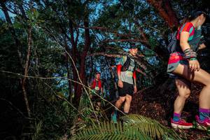 BIB: 200
                            <button type="button" onclick="openModal(24783022)" class="btn btn-primary btn-sm float-right btn-popup" data-toggle="modal" data-target=".modal-high-quality">
                        <i class="fas fa-shopping-cart"></i> Add to Cart
                    </button>
                                            <button type="button" onclick="isThisMe(24783022, true)" class="btn btn-success btn-sm float-right btn-popup btn-isme hidden" data-toggle="tooltip" data-placement="bottom" title="นี่คือรูปของคุณใช่ไหม คลิกที่นี่เพื่อเอาเข้าอัลบั้ม">
                        <i class="fas fa-plus"></i> Add to album
                    </button>
                    <button type="button" onclick="isThisMe(24783022, false)" class="btn btn-warning btn-sm float-right btn-popup btn-isnotme hidden">
                        <i class="fas fa-ban"></i> Remove from album
                    </button>