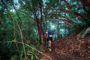 BIB: 
                            <button type="button" onclick="openModal(24781322)" class="btn btn-primary btn-sm float-right btn-popup" data-toggle="modal" data-target=".modal-high-quality">
                        <i class="fas fa-shopping-cart"></i> Add to Cart
                    </button>
                                            <button type="button" onclick="isThisMe(24781322, true)" class="btn btn-success btn-sm float-right btn-popup btn-isme hidden" data-toggle="tooltip" data-placement="bottom" title="นี่คือรูปของคุณใช่ไหม คลิกที่นี่เพื่อเอาเข้าอัลบั้ม">
                        <i class="fas fa-plus"></i> Add to album
                    </button>
                    <button type="button" onclick="isThisMe(24781322, false)" class="btn btn-warning btn-sm float-right btn-popup btn-isnotme hidden">
                        <i class="fas fa-ban"></i> Remove from album
                    </button>