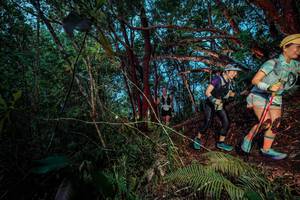 BIB: 
                            <button type="button" onclick="openModal(24786024)" class="btn btn-primary btn-sm float-right btn-popup" data-toggle="modal" data-target=".modal-high-quality">
                        <i class="fas fa-shopping-cart"></i> Add to Cart
                    </button>
                                            <button type="button" onclick="isThisMe(24786024, true)" class="btn btn-success btn-sm float-right btn-popup btn-isme hidden" data-toggle="tooltip" data-placement="bottom" title="นี่คือรูปของคุณใช่ไหม คลิกที่นี่เพื่อเอาเข้าอัลบั้ม">
                        <i class="fas fa-plus"></i> Add to album
                    </button>
                    <button type="button" onclick="isThisMe(24786024, false)" class="btn btn-warning btn-sm float-right btn-popup btn-isnotme hidden">
                        <i class="fas fa-ban"></i> Remove from album
                    </button>