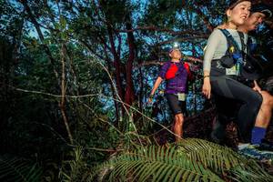 BIB: 
                            <button type="button" onclick="openModal(24783987)" class="btn btn-primary btn-sm float-right btn-popup" data-toggle="modal" data-target=".modal-high-quality">
                        <i class="fas fa-shopping-cart"></i> Add to Cart
                    </button>
                                            <button type="button" onclick="isThisMe(24783987, true)" class="btn btn-success btn-sm float-right btn-popup btn-isme hidden" data-toggle="tooltip" data-placement="bottom" title="นี่คือรูปของคุณใช่ไหม คลิกที่นี่เพื่อเอาเข้าอัลบั้ม">
                        <i class="fas fa-plus"></i> Add to album
                    </button>
                    <button type="button" onclick="isThisMe(24783987, false)" class="btn btn-warning btn-sm float-right btn-popup btn-isnotme hidden">
                        <i class="fas fa-ban"></i> Remove from album
                    </button>