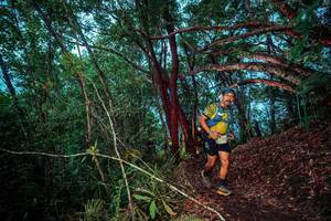 BIB: 
                            <button type="button" onclick="openModal(24789276)" class="btn btn-primary btn-sm float-right btn-popup" data-toggle="modal" data-target=".modal-high-quality">
                        <i class="fas fa-shopping-cart"></i> Add to Cart
                    </button>
                                            <button type="button" onclick="isThisMe(24789276, true)" class="btn btn-success btn-sm float-right btn-popup btn-isme hidden" data-toggle="tooltip" data-placement="bottom" title="นี่คือรูปของคุณใช่ไหม คลิกที่นี่เพื่อเอาเข้าอัลบั้ม">
                        <i class="fas fa-plus"></i> Add to album
                    </button>
                    <button type="button" onclick="isThisMe(24789276, false)" class="btn btn-warning btn-sm float-right btn-popup btn-isnotme hidden">
                        <i class="fas fa-ban"></i> Remove from album
                    </button>