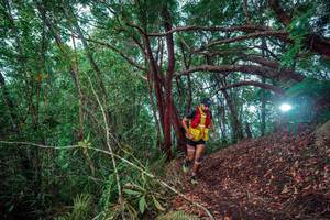 BIB: 
                            <button type="button" onclick="openModal(24781956)" class="btn btn-primary btn-sm float-right btn-popup" data-toggle="modal" data-target=".modal-high-quality">
                        <i class="fas fa-shopping-cart"></i> Add to Cart
                    </button>
                                            <button type="button" onclick="isThisMe(24781956, true)" class="btn btn-success btn-sm float-right btn-popup btn-isme hidden" data-toggle="tooltip" data-placement="bottom" title="นี่คือรูปของคุณใช่ไหม คลิกที่นี่เพื่อเอาเข้าอัลบั้ม">
                        <i class="fas fa-plus"></i> Add to album
                    </button>
                    <button type="button" onclick="isThisMe(24781956, false)" class="btn btn-warning btn-sm float-right btn-popup btn-isnotme hidden">
                        <i class="fas fa-ban"></i> Remove from album
                    </button>