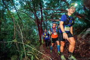 BIB: 2064
                            <button type="button" onclick="openModal(24781329)" class="btn btn-primary btn-sm float-right btn-popup" data-toggle="modal" data-target=".modal-high-quality">
                        <i class="fas fa-shopping-cart"></i> Add to Cart
                    </button>
                                            <button type="button" onclick="isThisMe(24781329, true)" class="btn btn-success btn-sm float-right btn-popup btn-isme hidden" data-toggle="tooltip" data-placement="bottom" title="นี่คือรูปของคุณใช่ไหม คลิกที่นี่เพื่อเอาเข้าอัลบั้ม">
                        <i class="fas fa-plus"></i> Add to album
                    </button>
                    <button type="button" onclick="isThisMe(24781329, false)" class="btn btn-warning btn-sm float-right btn-popup btn-isnotme hidden">
                        <i class="fas fa-ban"></i> Remove from album
                    </button>