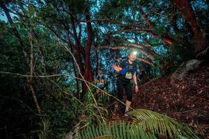 BIB: 
                            <button type="button" onclick="openModal(24785784)" class="btn btn-primary btn-sm float-right btn-popup" data-toggle="modal" data-target=".modal-high-quality">
                        <i class="fas fa-shopping-cart"></i> Add to Cart
                    </button>
                                            <button type="button" onclick="isThisMe(24785784, true)" class="btn btn-success btn-sm float-right btn-popup btn-isme hidden" data-toggle="tooltip" data-placement="bottom" title="นี่คือรูปของคุณใช่ไหม คลิกที่นี่เพื่อเอาเข้าอัลบั้ม">
                        <i class="fas fa-plus"></i> Add to album
                    </button>
                    <button type="button" onclick="isThisMe(24785784, false)" class="btn btn-warning btn-sm float-right btn-popup btn-isnotme hidden">
                        <i class="fas fa-ban"></i> Remove from album
                    </button>