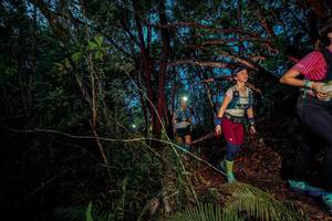 BIB: 
                            <button type="button" onclick="openModal(24782770)" class="btn btn-primary btn-sm float-right btn-popup" data-toggle="modal" data-target=".modal-high-quality">
                        <i class="fas fa-shopping-cart"></i> Add to Cart
                    </button>
                                            <button type="button" onclick="isThisMe(24782770, true)" class="btn btn-success btn-sm float-right btn-popup btn-isme hidden" data-toggle="tooltip" data-placement="bottom" title="นี่คือรูปของคุณใช่ไหม คลิกที่นี่เพื่อเอาเข้าอัลบั้ม">
                        <i class="fas fa-plus"></i> Add to album
                    </button>
                    <button type="button" onclick="isThisMe(24782770, false)" class="btn btn-warning btn-sm float-right btn-popup btn-isnotme hidden">
                        <i class="fas fa-ban"></i> Remove from album
                    </button>