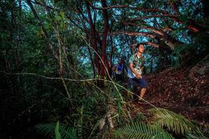 BIB: 
                            <button type="button" onclick="openModal(24787292)" class="btn btn-primary btn-sm float-right btn-popup" data-toggle="modal" data-target=".modal-high-quality">
                        <i class="fas fa-shopping-cart"></i> Add to Cart
                    </button>
                                            <button type="button" onclick="isThisMe(24787292, true)" class="btn btn-success btn-sm float-right btn-popup btn-isme hidden" data-toggle="tooltip" data-placement="bottom" title="นี่คือรูปของคุณใช่ไหม คลิกที่นี่เพื่อเอาเข้าอัลบั้ม">
                        <i class="fas fa-plus"></i> Add to album
                    </button>
                    <button type="button" onclick="isThisMe(24787292, false)" class="btn btn-warning btn-sm float-right btn-popup btn-isnotme hidden">
                        <i class="fas fa-ban"></i> Remove from album
                    </button>