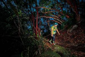 BIB: 
                            <button type="button" onclick="openModal(24782075)" class="btn btn-primary btn-sm float-right btn-popup" data-toggle="modal" data-target=".modal-high-quality">
                        <i class="fas fa-shopping-cart"></i> Add to Cart
                    </button>
                                            <button type="button" onclick="isThisMe(24782075, true)" class="btn btn-success btn-sm float-right btn-popup btn-isme hidden" data-toggle="tooltip" data-placement="bottom" title="นี่คือรูปของคุณใช่ไหม คลิกที่นี่เพื่อเอาเข้าอัลบั้ม">
                        <i class="fas fa-plus"></i> Add to album
                    </button>
                    <button type="button" onclick="isThisMe(24782075, false)" class="btn btn-warning btn-sm float-right btn-popup btn-isnotme hidden">
                        <i class="fas fa-ban"></i> Remove from album
                    </button>