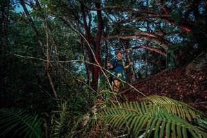 BIB: 
                            <button type="button" onclick="openModal(24785586)" class="btn btn-primary btn-sm float-right btn-popup" data-toggle="modal" data-target=".modal-high-quality">
                        <i class="fas fa-shopping-cart"></i> Add to Cart
                    </button>
                                            <button type="button" onclick="isThisMe(24785586, true)" class="btn btn-success btn-sm float-right btn-popup btn-isme hidden" data-toggle="tooltip" data-placement="bottom" title="นี่คือรูปของคุณใช่ไหม คลิกที่นี่เพื่อเอาเข้าอัลบั้ม">
                        <i class="fas fa-plus"></i> Add to album
                    </button>
                    <button type="button" onclick="isThisMe(24785586, false)" class="btn btn-warning btn-sm float-right btn-popup btn-isnotme hidden">
                        <i class="fas fa-ban"></i> Remove from album
                    </button>