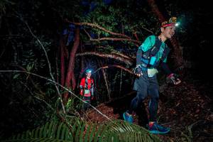 BIB: 212
                            <button type="button" onclick="openModal(24784241)" class="btn btn-primary btn-sm float-right btn-popup" data-toggle="modal" data-target=".modal-high-quality">
                        <i class="fas fa-shopping-cart"></i> Add to Cart
                    </button>
                                            <button type="button" onclick="isThisMe(24784241, true)" class="btn btn-success btn-sm float-right btn-popup btn-isme hidden" data-toggle="tooltip" data-placement="bottom" title="นี่คือรูปของคุณใช่ไหม คลิกที่นี่เพื่อเอาเข้าอัลบั้ม">
                        <i class="fas fa-plus"></i> Add to album
                    </button>
                    <button type="button" onclick="isThisMe(24784241, false)" class="btn btn-warning btn-sm float-right btn-popup btn-isnotme hidden">
                        <i class="fas fa-ban"></i> Remove from album
                    </button>