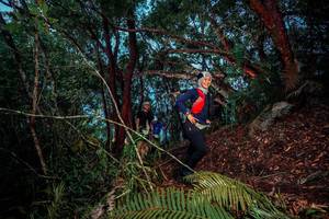 BIB: 
                            <button type="button" onclick="openModal(24785621)" class="btn btn-primary btn-sm float-right btn-popup" data-toggle="modal" data-target=".modal-high-quality">
                        <i class="fas fa-shopping-cart"></i> Add to Cart
                    </button>
                                            <button type="button" onclick="isThisMe(24785621, true)" class="btn btn-success btn-sm float-right btn-popup btn-isme hidden" data-toggle="tooltip" data-placement="bottom" title="นี่คือรูปของคุณใช่ไหม คลิกที่นี่เพื่อเอาเข้าอัลบั้ม">
                        <i class="fas fa-plus"></i> Add to album
                    </button>
                    <button type="button" onclick="isThisMe(24785621, false)" class="btn btn-warning btn-sm float-right btn-popup btn-isnotme hidden">
                        <i class="fas fa-ban"></i> Remove from album
                    </button>