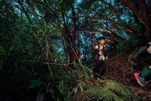 BIB: 
                            <button type="button" onclick="openModal(24785852)" class="btn btn-primary btn-sm float-right btn-popup" data-toggle="modal" data-target=".modal-high-quality">
                        <i class="fas fa-shopping-cart"></i> Add to Cart
                    </button>
                                            <button type="button" onclick="isThisMe(24785852, true)" class="btn btn-success btn-sm float-right btn-popup btn-isme hidden" data-toggle="tooltip" data-placement="bottom" title="นี่คือรูปของคุณใช่ไหม คลิกที่นี่เพื่อเอาเข้าอัลบั้ม">
                        <i class="fas fa-plus"></i> Add to album
                    </button>
                    <button type="button" onclick="isThisMe(24785852, false)" class="btn btn-warning btn-sm float-right btn-popup btn-isnotme hidden">
                        <i class="fas fa-ban"></i> Remove from album
                    </button>