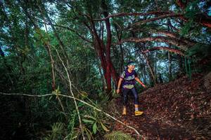 BIB: 
                            <button type="button" onclick="openModal(24789205)" class="btn btn-primary btn-sm float-right btn-popup" data-toggle="modal" data-target=".modal-high-quality">
                        <i class="fas fa-shopping-cart"></i> Add to Cart
                    </button>
                                            <button type="button" onclick="isThisMe(24789205, true)" class="btn btn-success btn-sm float-right btn-popup btn-isme hidden" data-toggle="tooltip" data-placement="bottom" title="นี่คือรูปของคุณใช่ไหม คลิกที่นี่เพื่อเอาเข้าอัลบั้ม">
                        <i class="fas fa-plus"></i> Add to album
                    </button>
                    <button type="button" onclick="isThisMe(24789205, false)" class="btn btn-warning btn-sm float-right btn-popup btn-isnotme hidden">
                        <i class="fas fa-ban"></i> Remove from album
                    </button>