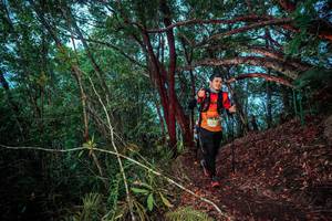 BIB: 
                            <button type="button" onclick="openModal(24789416)" class="btn btn-primary btn-sm float-right btn-popup" data-toggle="modal" data-target=".modal-high-quality">
                        <i class="fas fa-shopping-cart"></i> Add to Cart
                    </button>
                                            <button type="button" onclick="isThisMe(24789416, true)" class="btn btn-success btn-sm float-right btn-popup btn-isme hidden" data-toggle="tooltip" data-placement="bottom" title="นี่คือรูปของคุณใช่ไหม คลิกที่นี่เพื่อเอาเข้าอัลบั้ม">
                        <i class="fas fa-plus"></i> Add to album
                    </button>
                    <button type="button" onclick="isThisMe(24789416, false)" class="btn btn-warning btn-sm float-right btn-popup btn-isnotme hidden">
                        <i class="fas fa-ban"></i> Remove from album
                    </button>