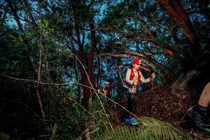 BIB: 
                            <button type="button" onclick="openModal(24783263)" class="btn btn-primary btn-sm float-right btn-popup" data-toggle="modal" data-target=".modal-high-quality">
                        <i class="fas fa-shopping-cart"></i> Add to Cart
                    </button>
                                            <button type="button" onclick="isThisMe(24783263, true)" class="btn btn-success btn-sm float-right btn-popup btn-isme hidden" data-toggle="tooltip" data-placement="bottom" title="นี่คือรูปของคุณใช่ไหม คลิกที่นี่เพื่อเอาเข้าอัลบั้ม">
                        <i class="fas fa-plus"></i> Add to album
                    </button>
                    <button type="button" onclick="isThisMe(24783263, false)" class="btn btn-warning btn-sm float-right btn-popup btn-isnotme hidden">
                        <i class="fas fa-ban"></i> Remove from album
                    </button>