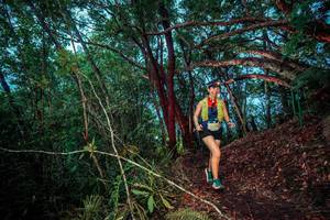 BIB: 
                            <button type="button" onclick="openModal(24789152)" class="btn btn-primary btn-sm float-right btn-popup" data-toggle="modal" data-target=".modal-high-quality">
                        <i class="fas fa-shopping-cart"></i> Add to Cart
                    </button>
                                            <button type="button" onclick="isThisMe(24789152, true)" class="btn btn-success btn-sm float-right btn-popup btn-isme hidden" data-toggle="tooltip" data-placement="bottom" title="นี่คือรูปของคุณใช่ไหม คลิกที่นี่เพื่อเอาเข้าอัลบั้ม">
                        <i class="fas fa-plus"></i> Add to album
                    </button>
                    <button type="button" onclick="isThisMe(24789152, false)" class="btn btn-warning btn-sm float-right btn-popup btn-isnotme hidden">
                        <i class="fas fa-ban"></i> Remove from album
                    </button>