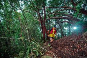 BIB: 
                            <button type="button" onclick="openModal(24781960)" class="btn btn-primary btn-sm float-right btn-popup" data-toggle="modal" data-target=".modal-high-quality">
                        <i class="fas fa-shopping-cart"></i> Add to Cart
                    </button>
                                            <button type="button" onclick="isThisMe(24781960, true)" class="btn btn-success btn-sm float-right btn-popup btn-isme hidden" data-toggle="tooltip" data-placement="bottom" title="นี่คือรูปของคุณใช่ไหม คลิกที่นี่เพื่อเอาเข้าอัลบั้ม">
                        <i class="fas fa-plus"></i> Add to album
                    </button>
                    <button type="button" onclick="isThisMe(24781960, false)" class="btn btn-warning btn-sm float-right btn-popup btn-isnotme hidden">
                        <i class="fas fa-ban"></i> Remove from album
                    </button>