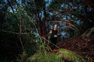 BIB: 
                            <button type="button" onclick="openModal(24783476)" class="btn btn-primary btn-sm float-right btn-popup" data-toggle="modal" data-target=".modal-high-quality">
                        <i class="fas fa-shopping-cart"></i> Add to Cart
                    </button>
                                            <button type="button" onclick="isThisMe(24783476, true)" class="btn btn-success btn-sm float-right btn-popup btn-isme hidden" data-toggle="tooltip" data-placement="bottom" title="นี่คือรูปของคุณใช่ไหม คลิกที่นี่เพื่อเอาเข้าอัลบั้ม">
                        <i class="fas fa-plus"></i> Add to album
                    </button>
                    <button type="button" onclick="isThisMe(24783476, false)" class="btn btn-warning btn-sm float-right btn-popup btn-isnotme hidden">
                        <i class="fas fa-ban"></i> Remove from album
                    </button>