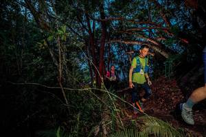 BIB: 
                            <button type="button" onclick="openModal(24782732)" class="btn btn-primary btn-sm float-right btn-popup" data-toggle="modal" data-target=".modal-high-quality">
                        <i class="fas fa-shopping-cart"></i> Add to Cart
                    </button>
                                            <button type="button" onclick="isThisMe(24782732, true)" class="btn btn-success btn-sm float-right btn-popup btn-isme hidden" data-toggle="tooltip" data-placement="bottom" title="นี่คือรูปของคุณใช่ไหม คลิกที่นี่เพื่อเอาเข้าอัลบั้ม">
                        <i class="fas fa-plus"></i> Add to album
                    </button>
                    <button type="button" onclick="isThisMe(24782732, false)" class="btn btn-warning btn-sm float-right btn-popup btn-isnotme hidden">
                        <i class="fas fa-ban"></i> Remove from album
                    </button>