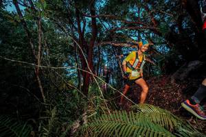 BIB: 
                            <button type="button" onclick="openModal(24784538)" class="btn btn-primary btn-sm float-right btn-popup" data-toggle="modal" data-target=".modal-high-quality">
                        <i class="fas fa-shopping-cart"></i> Add to Cart
                    </button>
                                            <button type="button" onclick="isThisMe(24784538, true)" class="btn btn-success btn-sm float-right btn-popup btn-isme hidden" data-toggle="tooltip" data-placement="bottom" title="นี่คือรูปของคุณใช่ไหม คลิกที่นี่เพื่อเอาเข้าอัลบั้ม">
                        <i class="fas fa-plus"></i> Add to album
                    </button>
                    <button type="button" onclick="isThisMe(24784538, false)" class="btn btn-warning btn-sm float-right btn-popup btn-isnotme hidden">
                        <i class="fas fa-ban"></i> Remove from album
                    </button>