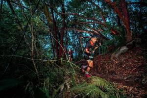 BIB: 
                            <button type="button" onclick="openModal(24786308)" class="btn btn-primary btn-sm float-right btn-popup" data-toggle="modal" data-target=".modal-high-quality">
                        <i class="fas fa-shopping-cart"></i> Add to Cart
                    </button>
                                            <button type="button" onclick="isThisMe(24786308, true)" class="btn btn-success btn-sm float-right btn-popup btn-isme hidden" data-toggle="tooltip" data-placement="bottom" title="นี่คือรูปของคุณใช่ไหม คลิกที่นี่เพื่อเอาเข้าอัลบั้ม">
                        <i class="fas fa-plus"></i> Add to album
                    </button>
                    <button type="button" onclick="isThisMe(24786308, false)" class="btn btn-warning btn-sm float-right btn-popup btn-isnotme hidden">
                        <i class="fas fa-ban"></i> Remove from album
                    </button>