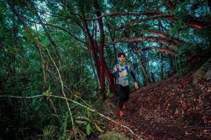 BIB: 
                            <button type="button" onclick="openModal(24781583)" class="btn btn-primary btn-sm float-right btn-popup" data-toggle="modal" data-target=".modal-high-quality">
                        <i class="fas fa-shopping-cart"></i> Add to Cart
                    </button>
                                            <button type="button" onclick="isThisMe(24781583, true)" class="btn btn-success btn-sm float-right btn-popup btn-isme hidden" data-toggle="tooltip" data-placement="bottom" title="นี่คือรูปของคุณใช่ไหม คลิกที่นี่เพื่อเอาเข้าอัลบั้ม">
                        <i class="fas fa-plus"></i> Add to album
                    </button>
                    <button type="button" onclick="isThisMe(24781583, false)" class="btn btn-warning btn-sm float-right btn-popup btn-isnotme hidden">
                        <i class="fas fa-ban"></i> Remove from album
                    </button>