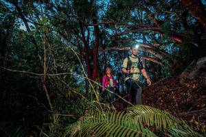 BIB: 241
                            <button type="button" onclick="openModal(24783538)" class="btn btn-primary btn-sm float-right btn-popup" data-toggle="modal" data-target=".modal-high-quality">
                        <i class="fas fa-shopping-cart"></i> Add to Cart
                    </button>
                                            <button type="button" onclick="isThisMe(24783538, true)" class="btn btn-success btn-sm float-right btn-popup btn-isme hidden" data-toggle="tooltip" data-placement="bottom" title="นี่คือรูปของคุณใช่ไหม คลิกที่นี่เพื่อเอาเข้าอัลบั้ม">
                        <i class="fas fa-plus"></i> Add to album
                    </button>
                    <button type="button" onclick="isThisMe(24783538, false)" class="btn btn-warning btn-sm float-right btn-popup btn-isnotme hidden">
                        <i class="fas fa-ban"></i> Remove from album
                    </button>