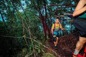 BIB: 
                            <button type="button" onclick="openModal(24789020)" class="btn btn-primary btn-sm float-right btn-popup" data-toggle="modal" data-target=".modal-high-quality">
                        <i class="fas fa-shopping-cart"></i> Add to Cart
                    </button>
                                            <button type="button" onclick="isThisMe(24789020, true)" class="btn btn-success btn-sm float-right btn-popup btn-isme hidden" data-toggle="tooltip" data-placement="bottom" title="นี่คือรูปของคุณใช่ไหม คลิกที่นี่เพื่อเอาเข้าอัลบั้ม">
                        <i class="fas fa-plus"></i> Add to album
                    </button>
                    <button type="button" onclick="isThisMe(24789020, false)" class="btn btn-warning btn-sm float-right btn-popup btn-isnotme hidden">
                        <i class="fas fa-ban"></i> Remove from album
                    </button>