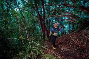 BIB: 
                            <button type="button" onclick="openModal(24781532)" class="btn btn-primary btn-sm float-right btn-popup" data-toggle="modal" data-target=".modal-high-quality">
                        <i class="fas fa-shopping-cart"></i> Add to Cart
                    </button>
                                            <button type="button" onclick="isThisMe(24781532, true)" class="btn btn-success btn-sm float-right btn-popup btn-isme hidden" data-toggle="tooltip" data-placement="bottom" title="นี่คือรูปของคุณใช่ไหม คลิกที่นี่เพื่อเอาเข้าอัลบั้ม">
                        <i class="fas fa-plus"></i> Add to album
                    </button>
                    <button type="button" onclick="isThisMe(24781532, false)" class="btn btn-warning btn-sm float-right btn-popup btn-isnotme hidden">
                        <i class="fas fa-ban"></i> Remove from album
                    </button>