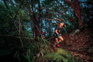 BIB: 
                            <button type="button" onclick="openModal(24786323)" class="btn btn-primary btn-sm float-right btn-popup" data-toggle="modal" data-target=".modal-high-quality">
                        <i class="fas fa-shopping-cart"></i> Add to Cart
                    </button>
                                            <button type="button" onclick="isThisMe(24786323, true)" class="btn btn-success btn-sm float-right btn-popup btn-isme hidden" data-toggle="tooltip" data-placement="bottom" title="นี่คือรูปของคุณใช่ไหม คลิกที่นี่เพื่อเอาเข้าอัลบั้ม">
                        <i class="fas fa-plus"></i> Add to album
                    </button>
                    <button type="button" onclick="isThisMe(24786323, false)" class="btn btn-warning btn-sm float-right btn-popup btn-isnotme hidden">
                        <i class="fas fa-ban"></i> Remove from album
                    </button>