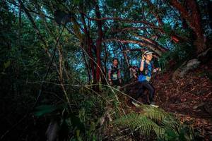 BIB: 
                            <button type="button" onclick="openModal(24785903)" class="btn btn-primary btn-sm float-right btn-popup" data-toggle="modal" data-target=".modal-high-quality">
                        <i class="fas fa-shopping-cart"></i> Add to Cart
                    </button>
                                            <button type="button" onclick="isThisMe(24785903, true)" class="btn btn-success btn-sm float-right btn-popup btn-isme hidden" data-toggle="tooltip" data-placement="bottom" title="นี่คือรูปของคุณใช่ไหม คลิกที่นี่เพื่อเอาเข้าอัลบั้ม">
                        <i class="fas fa-plus"></i> Add to album
                    </button>
                    <button type="button" onclick="isThisMe(24785903, false)" class="btn btn-warning btn-sm float-right btn-popup btn-isnotme hidden">
                        <i class="fas fa-ban"></i> Remove from album
                    </button>