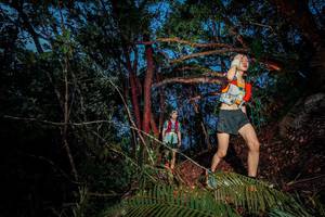 BIB: 
                            <button type="button" onclick="openModal(24781561)" class="btn btn-primary btn-sm float-right btn-popup" data-toggle="modal" data-target=".modal-high-quality">
                        <i class="fas fa-shopping-cart"></i> Add to Cart
                    </button>
                                            <button type="button" onclick="isThisMe(24781561, true)" class="btn btn-success btn-sm float-right btn-popup btn-isme hidden" data-toggle="tooltip" data-placement="bottom" title="นี่คือรูปของคุณใช่ไหม คลิกที่นี่เพื่อเอาเข้าอัลบั้ม">
                        <i class="fas fa-plus"></i> Add to album
                    </button>
                    <button type="button" onclick="isThisMe(24781561, false)" class="btn btn-warning btn-sm float-right btn-popup btn-isnotme hidden">
                        <i class="fas fa-ban"></i> Remove from album
                    </button>