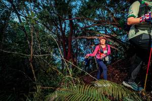 BIB: 
                            <button type="button" onclick="openModal(24783595)" class="btn btn-primary btn-sm float-right btn-popup" data-toggle="modal" data-target=".modal-high-quality">
                        <i class="fas fa-shopping-cart"></i> Add to Cart
                    </button>
                                            <button type="button" onclick="isThisMe(24783595, true)" class="btn btn-success btn-sm float-right btn-popup btn-isme hidden" data-toggle="tooltip" data-placement="bottom" title="นี่คือรูปของคุณใช่ไหม คลิกที่นี่เพื่อเอาเข้าอัลบั้ม">
                        <i class="fas fa-plus"></i> Add to album
                    </button>
                    <button type="button" onclick="isThisMe(24783595, false)" class="btn btn-warning btn-sm float-right btn-popup btn-isnotme hidden">
                        <i class="fas fa-ban"></i> Remove from album
                    </button>