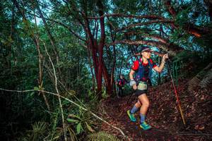 BIB: 
                            <button type="button" onclick="openModal(24789124)" class="btn btn-primary btn-sm float-right btn-popup" data-toggle="modal" data-target=".modal-high-quality">
                        <i class="fas fa-shopping-cart"></i> Add to Cart
                    </button>
                                            <button type="button" onclick="isThisMe(24789124, true)" class="btn btn-success btn-sm float-right btn-popup btn-isme hidden" data-toggle="tooltip" data-placement="bottom" title="นี่คือรูปของคุณใช่ไหม คลิกที่นี่เพื่อเอาเข้าอัลบั้ม">
                        <i class="fas fa-plus"></i> Add to album
                    </button>
                    <button type="button" onclick="isThisMe(24789124, false)" class="btn btn-warning btn-sm float-right btn-popup btn-isnotme hidden">
                        <i class="fas fa-ban"></i> Remove from album
                    </button>